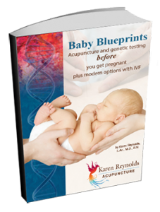 Baby Blueprint Book books about pre-pregnancy genetic testing